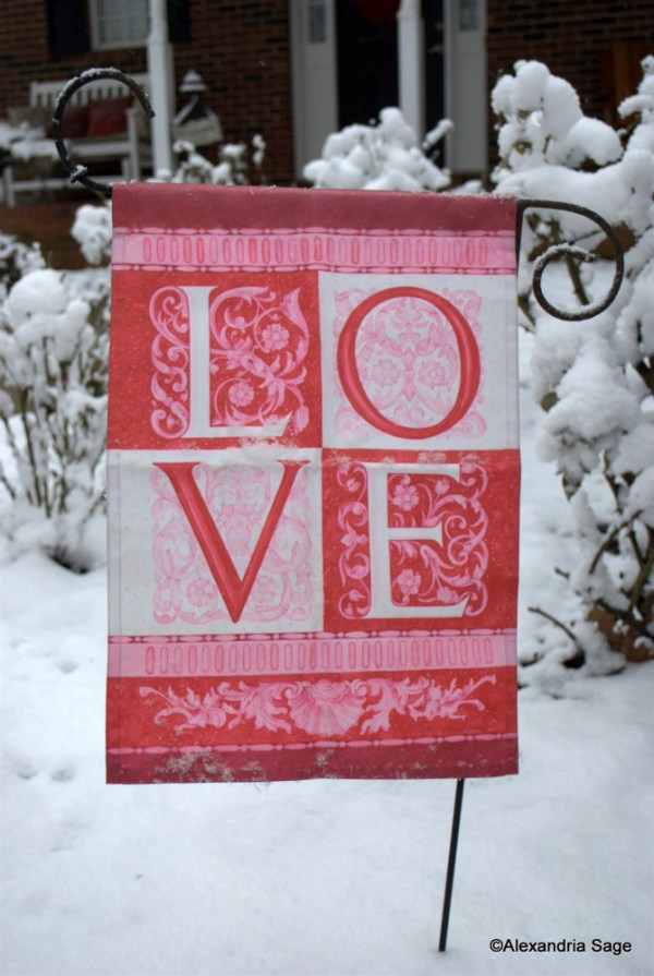 Midwinter's Night Dream