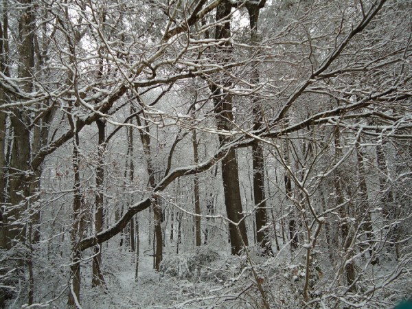 DSC01300. StormScapesIII