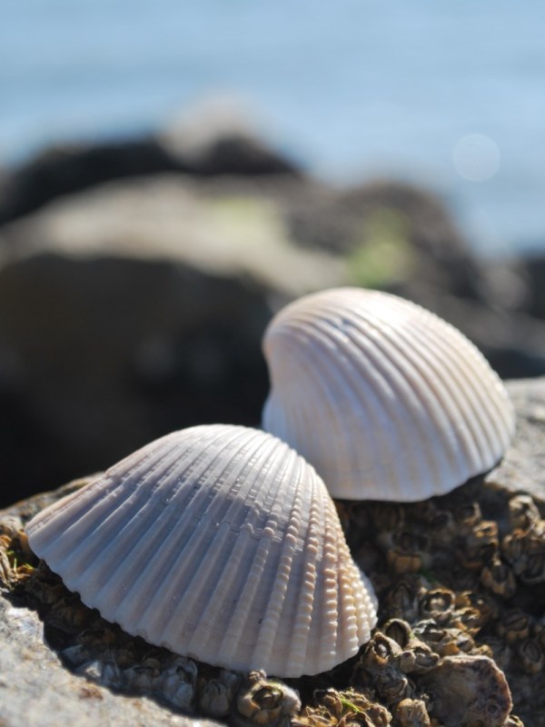 The Sea, One of our Favorite Spots