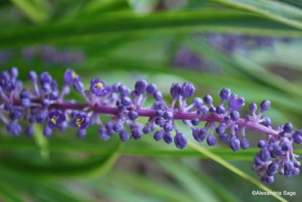 Home Sweet Home Inside