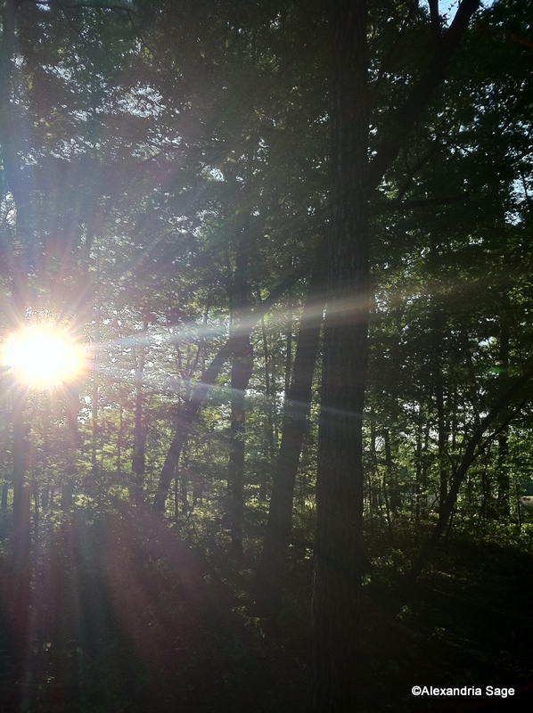 Come the MornIMG_2432