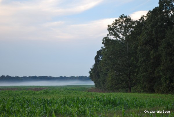 I Make All Things New