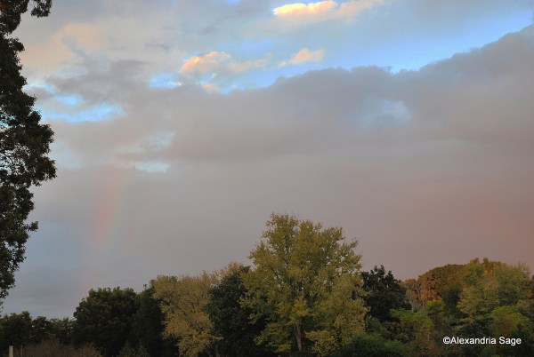 The other side of the rainbow