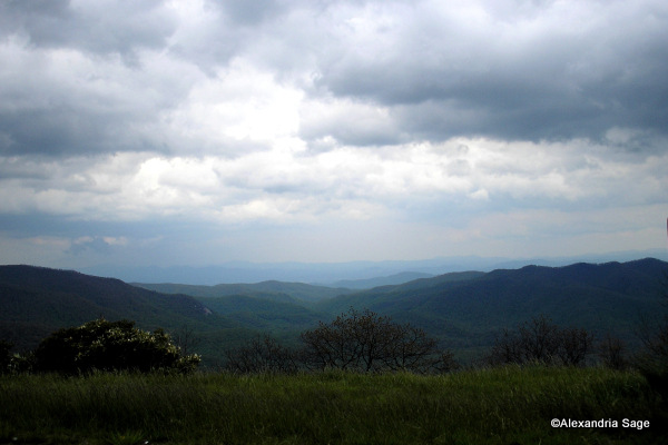 olympus-digital-cameraoriginal