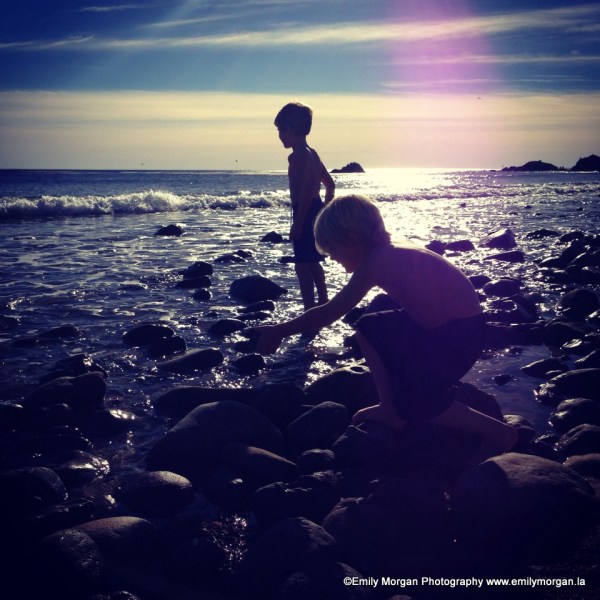 1-1472221_10152441600084186_1180795279_n