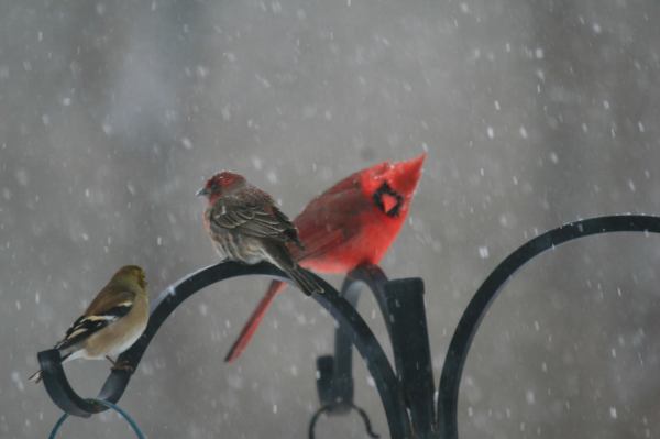 1500750_10153710169035578_55612301_o