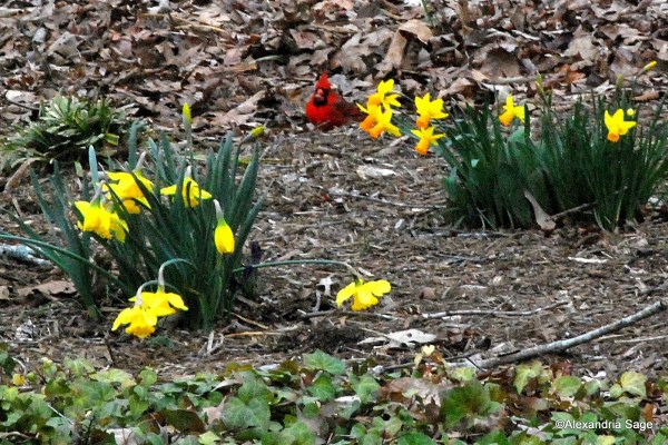 Stay Inside the Yellow