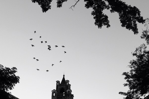 Heart's All Aflutter