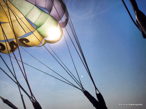 1-10615592_552335618206280_1674688445813418025_n-001