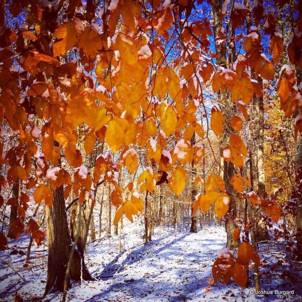 1-image29-e1417103368582