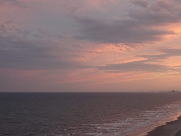 Evening Blush DSC01436[1]