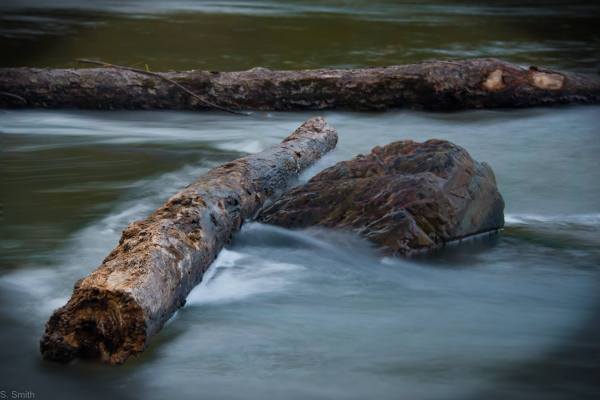 14712600_10154499026625928_4362095874913103677_o