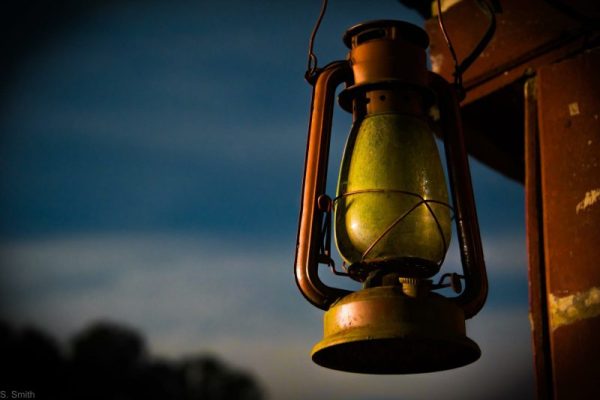 Show Me the Way img_7355